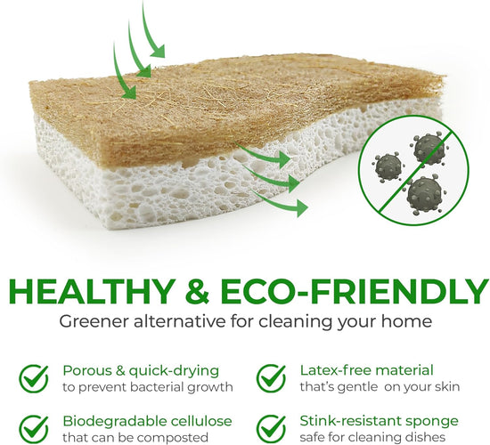 Biodegradable Natural Kitchen Sponge - Compostable Cellulose and Coconut Walnut Scrubber Sponge - Pack of 12 Eco Friendly Sponges for Dishes