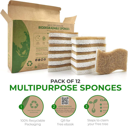 Biodegradable Natural Kitchen Sponge - Compostable Cellulose and Coconut Walnut Scrubber Sponge - Pack of 12 Eco Friendly Sponges for Dishes