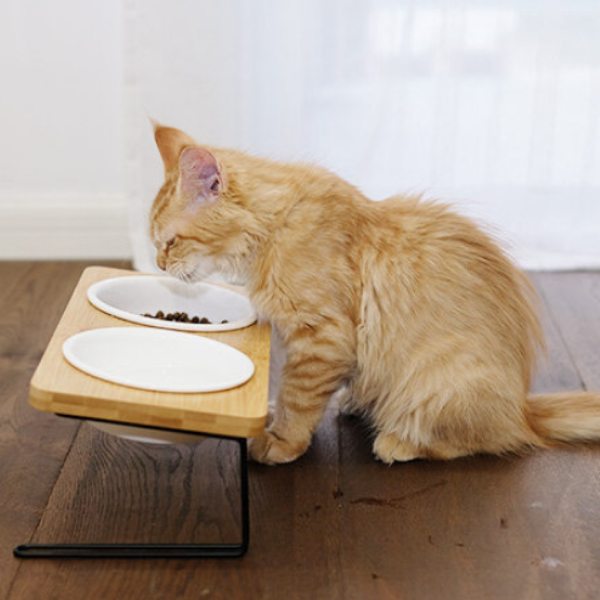 FUKUMARU Elevated Cat Ceramic Bowls 15° Tilted Raised Food