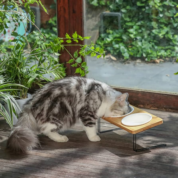 FUKUMARU Elevated Cat Ceramic Bowls 15° Tilted Raised Food