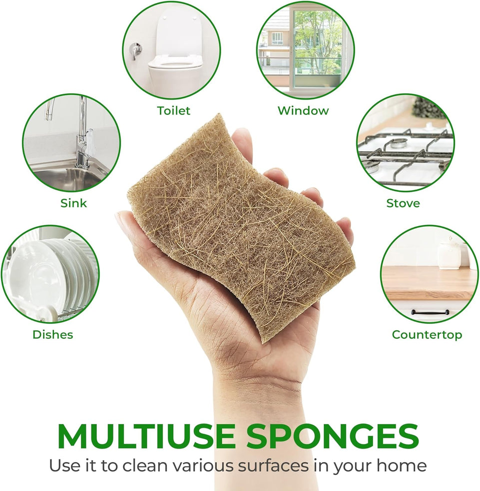 Biodegradable Natural Kitchen Sponge - Compostable Cellulose and Coconut Walnut Scrubber Sponge - Pack of 12 Eco Friendly Sponges for Dishes