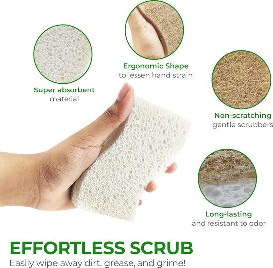 Biodegradable Natural Kitchen Sponge - Compostable Cellulose and Coconut Walnut Scrubber Sponge - Pack of 12 Eco Friendly Sponges for Dishes