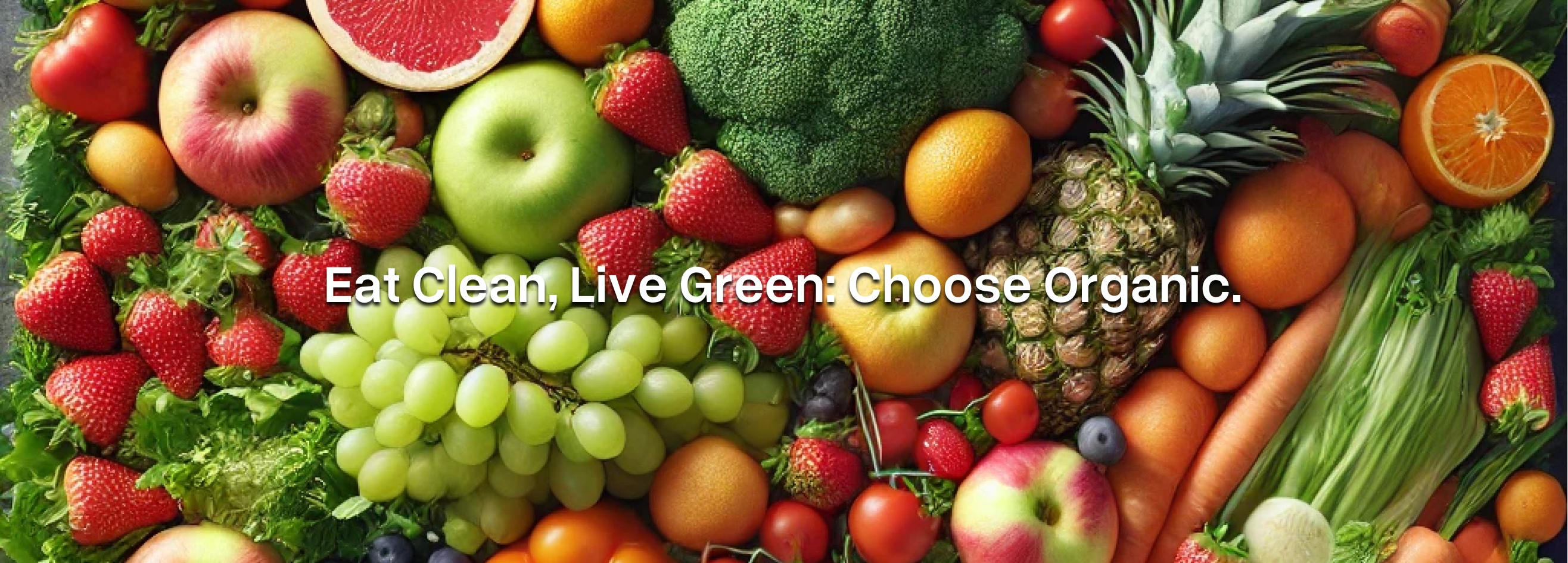 Organic Food Health Banner